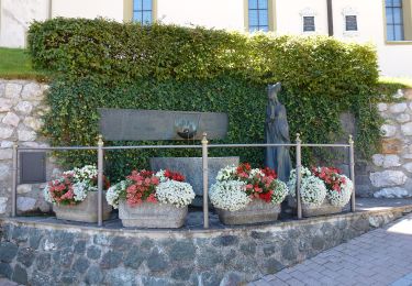 Tour Zu Fuß Marktgemeinde Fieberbrunn - [1] Fieberbrunn - Wanderschuh - Photo