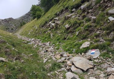 Tocht Stappen Réallon - Lac du Laus - Vallon du Réallon - Photo