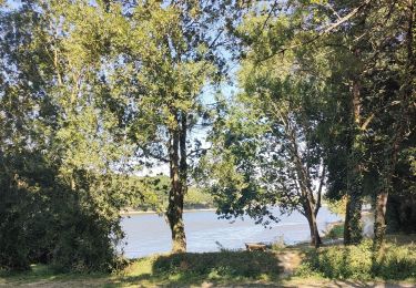 Randonnée Marche Landevieille - lac du jaunay - Photo