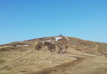 Trail Walking La Bresse - 23022021 Le Hohneck - Photo