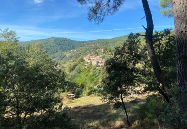 Excursión Senderismo Faugères - Fauveries - Photo