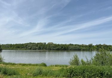 Trail sport Saint-Laurent-Nouan - Fat Bike, Saint-laurent-Nouan-Blois-Chambord - Photo