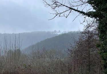 Tocht Stappen Olne - Idem à l’envers - Photo