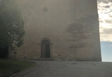 Excursión Senderismo Tourtour - Tourtour par le rocher des infirmières et la Tour Grimaldi - Photo