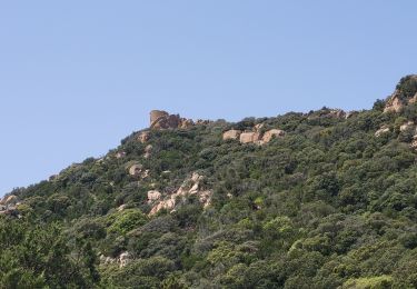Trail Walking Sartène - Plages de Roccapina et d'Erbaju - Photo