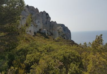 Excursión Senderismo La Ciotat - falaise du cap Canaille AR - Photo