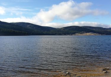 Trail Walking Schluchsee - Schluchsee - Photo