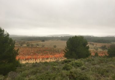 Trail Walking Bages - Prat-de-Cest - Abbaye de Fontfroide - Photo