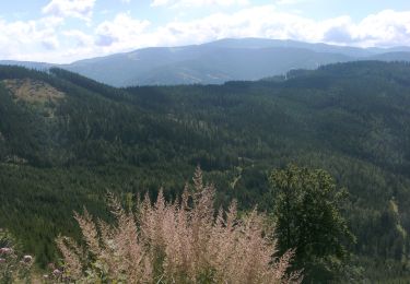 Excursión A pie Gemeinde Spital am Semmering - Semmering - Sonnwendstein über Dürrgraben - Photo