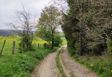 Tocht Stappen Gouvy - Au fil de l'eau - Gouvy   - Photo