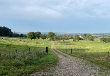 Trail Walking Aubange - Bois d’Athus  - Photo