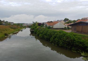 Tocht Stappen Pornic - corniche gourmalon - Photo