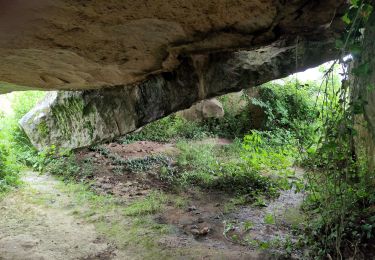 Trail Walking Brissac-Loire-Aubance - St Rémy la Varenne - Gennes - Photo