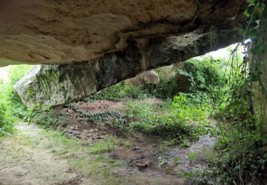 Excursión Senderismo Brissac-Loire-Aubance - St Rémy la Varenne - Gennes - Photo