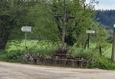 Tour Wandern Villers-sous-Chalamont - Villers-Sous-Chalamont Route des sources  - Photo