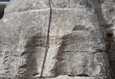 Trail Walking Mazaugues - Saut du cabri Carami - Photo