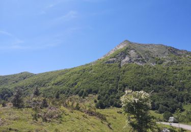 Randonnée Marche Le Port - Ronde du Damian (petite)  - Photo