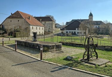 Trail On foot Nancray - Sentier du Fonteny - Photo