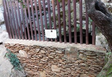 Percorso Marcia Cassis - les crêtes du cap Canaille, du pas de la colle à la  grotte des émigrés  - Photo
