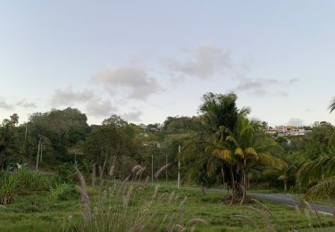 Excursión Marcha nórdica Sainte-Anne - Belle mare - Photo