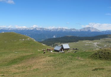 Excursión Senderismo La Chapelle-en-Vercors - Traversée diagole du Vercors Etape 2na - Photo