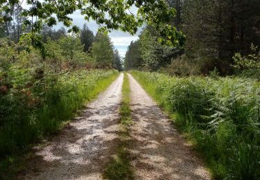 Trail Walking Le Buisson-de-Cadouin - Cadouin 11,6km - Photo