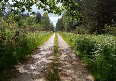 Percorso Marcia Le Buisson-de-Cadouin - Cadouin 11,6km - Photo