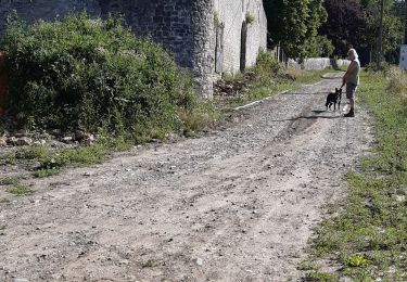 Tour Wandern Ouffet - ouffet fermes ac + - Photo