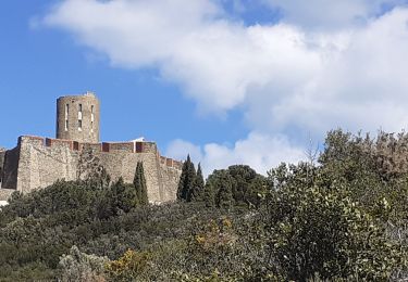 Randonnée A pied Collioure - Collioure 7,6 km 340 m D+ - Photo