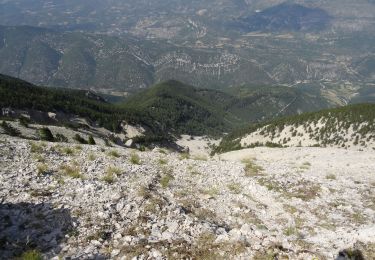 Randonnée V.T.T. Bédoin - AR Les grands pins - VTT - Photo