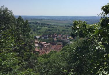 Tour Wandern Bad Niederbronn - Niederbronn Oberbronn - Photo