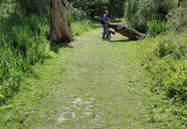 Tocht Stappen Chaumont-Gistoux - Chaumont gistoux - Photo