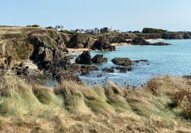 Tour Wandern Moëlan-sur-Mer - 12.99.20 - Photo