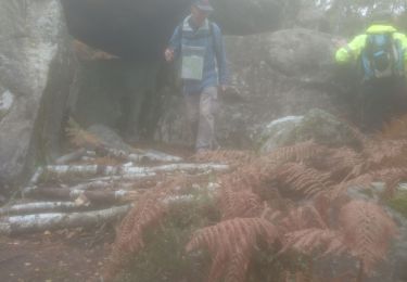 Tocht Stappen Fontainebleau - 27 octobre Bas Bureau  - Photo