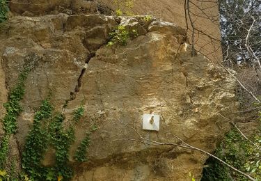 Percorso Marcia Aups - Aups - Photo