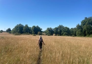 Randonnée Marche Montfaucon - Le bastit carlucet  - Photo