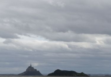 Trail Walking Genêts - Mont Saint Michel  - Photo