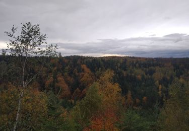 Trail Mountain bike Raon-l'Étape - VTT La Trouche- Neufmaisons 03/11/19 - Photo