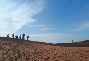 Tour Wandern M'Hamid El Ghizlane ⵎⵃⴰⵎⵉⴷ ⵍⵖⵯⵣⵍⴰⵏ امحاميد الغزلان - Campement 3 au Campement 4 - Photo