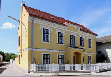 Tocht Te voet Gemeinde Leithaprodersdorf - Leithaprodersdorf - Loretto - Beim Juden - Photo