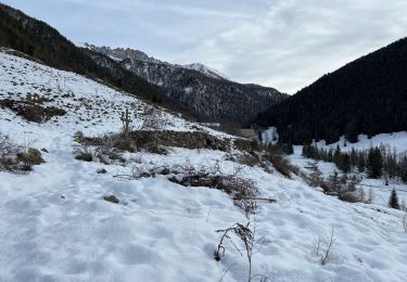 Trail Walking Saint-Sauveur-sur-Tinée - Mollières Hiver - Photo