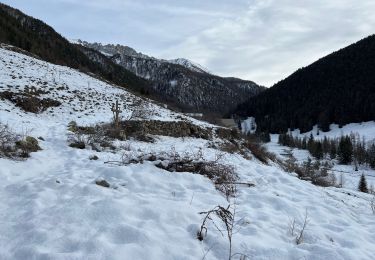 Tocht Stappen Saint-Sauveur-sur-Tinée - Mollières Hiver - Photo