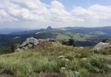 Trail Walking Saint-Martial - Sucs de Montfol et de La Lauziere 11km - Photo