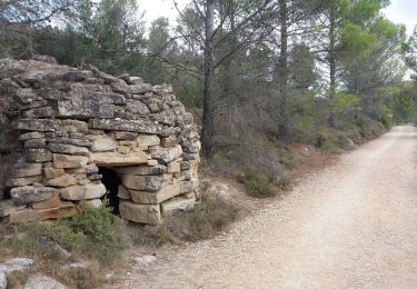 Randonnée Marche Los Arcos - Viana - Photo