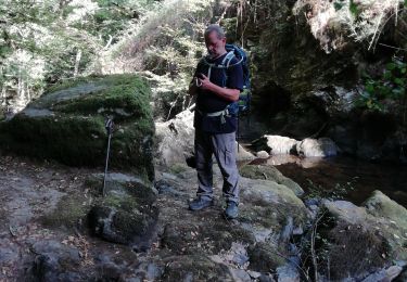 Tocht Stappen Gimel-les-Cascades - chemin de la gour - Photo