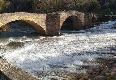 Tocht Stappen Vins-sur-Caramy - Vins Sur Caramy Château Vieux, lac de Carcès et pont du Moyen Age - Photo