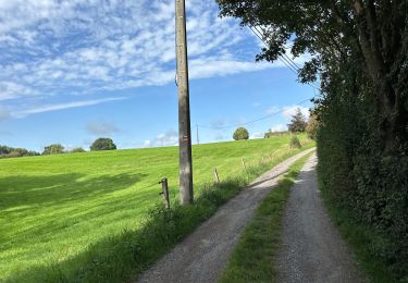 Trail Walking Raeren - Hauset 22,8 km - Photo