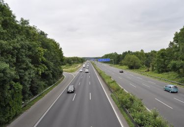 Tour Zu Fuß Unbekannt - Hassels Rundweg A7 - Photo