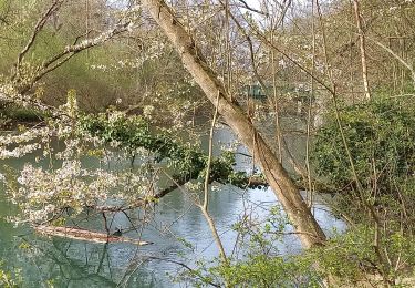 Tour Wandern Barberey-Saint-Sulpice - Barberey st Lyé Pont canal 17,3km - Photo