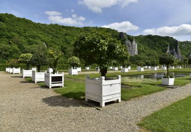 Tour Zu Fuß Dinant - Promenade de Freyr - Photo